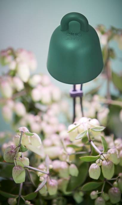 leaf light care 36cm leaf green